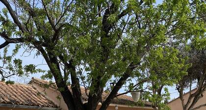 Sarrians rental for 4 people, pets welcome.