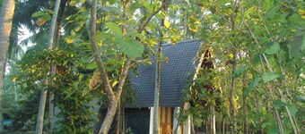 Deluxe bungalow with free airport pickup