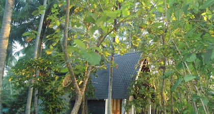 Deluxe bungalow with free airport pickup