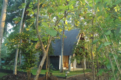 Deluxe bungalow with free airport pickup