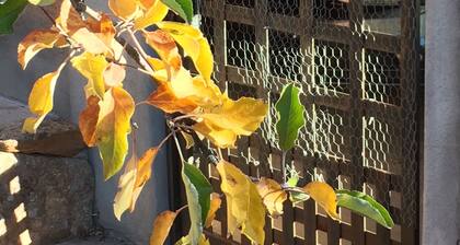 VINGARAGE ATELIER-VIEWS-PRIVACY-XTRA PET ACRES AVAILABLE