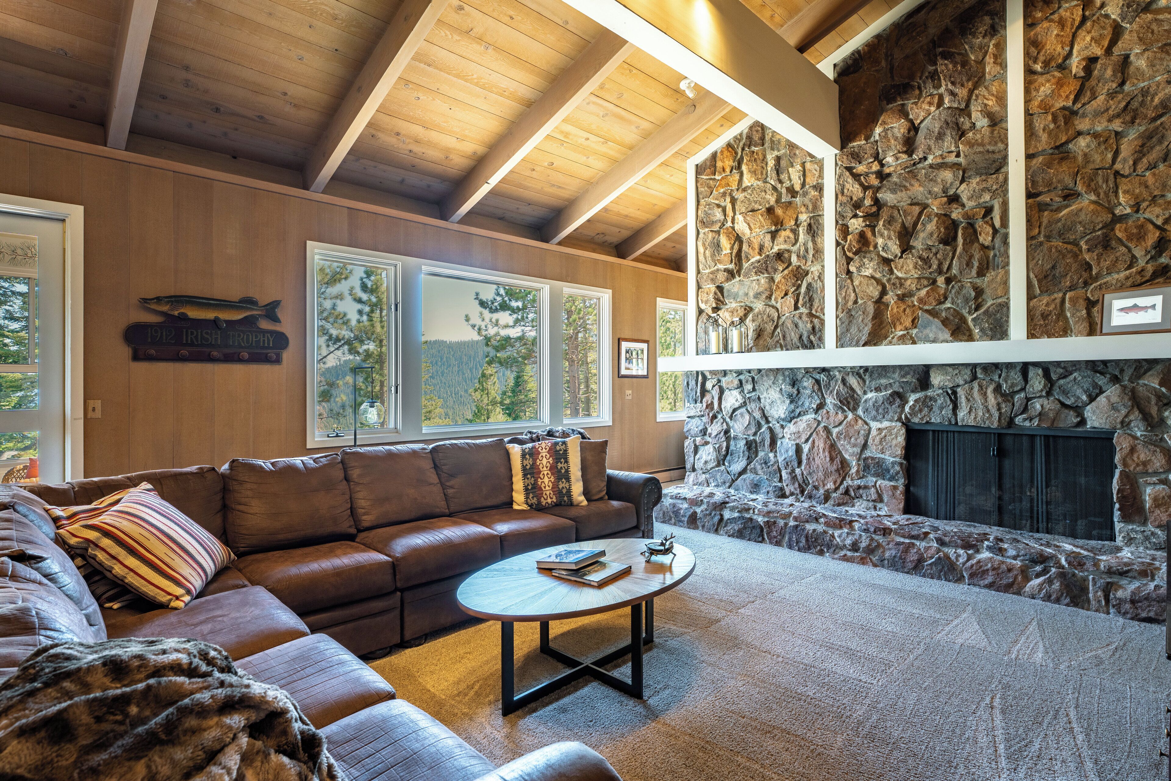 TV connectée, cheminée, lecteur de DVD, livres