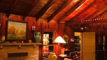 Smart TV, chimenea, reproductor de DVD, libros