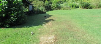 Big Sandy, TN, Sleeps 8