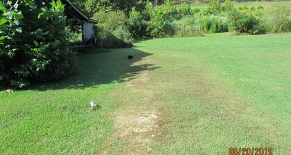 Big Sandy, TN, capacidad para 8