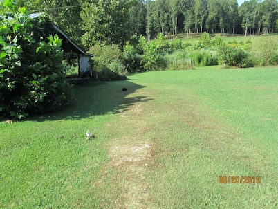 Big Sandy, TN, Sleeps 8