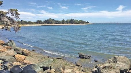 Beach. Large Cottage Near SF, Beach, Airport w/Backyard