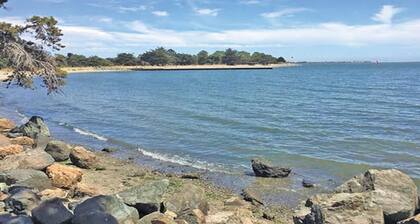 Large Cottage Near SF, Beach, Airport w/Backyard