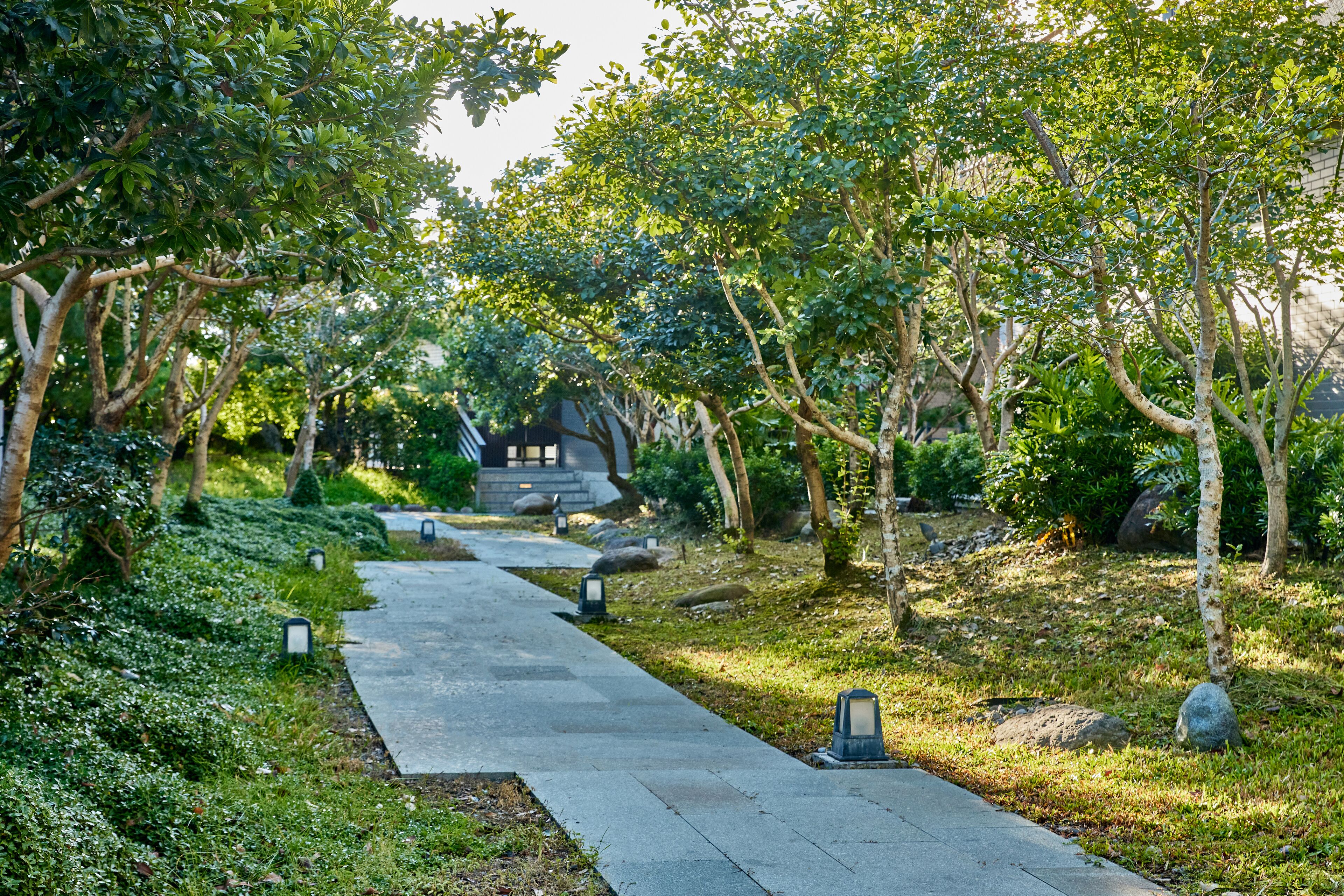 露台/庭院