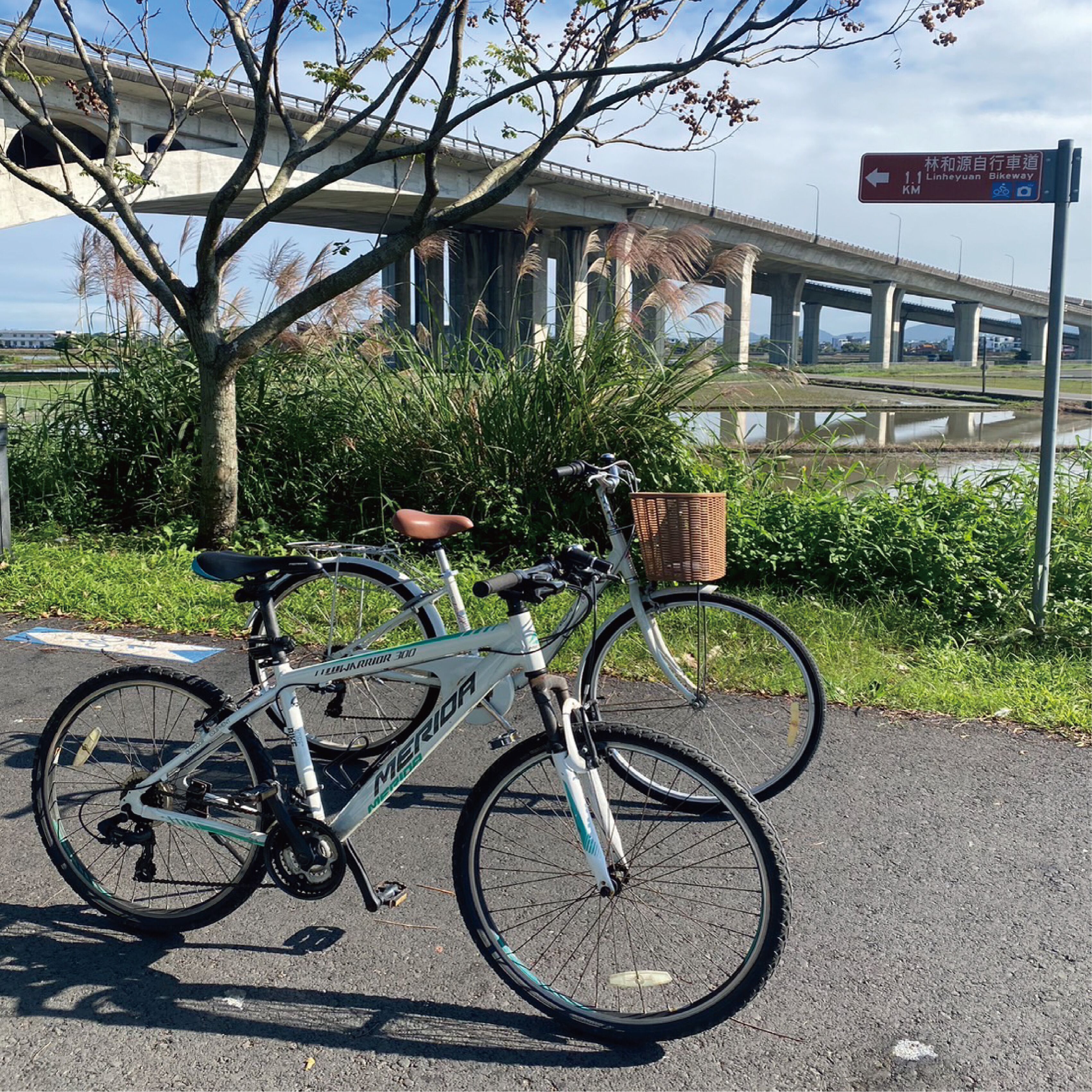 A bicycle parked on a paved area with a bridge in the background and a sign indicating a bike path.