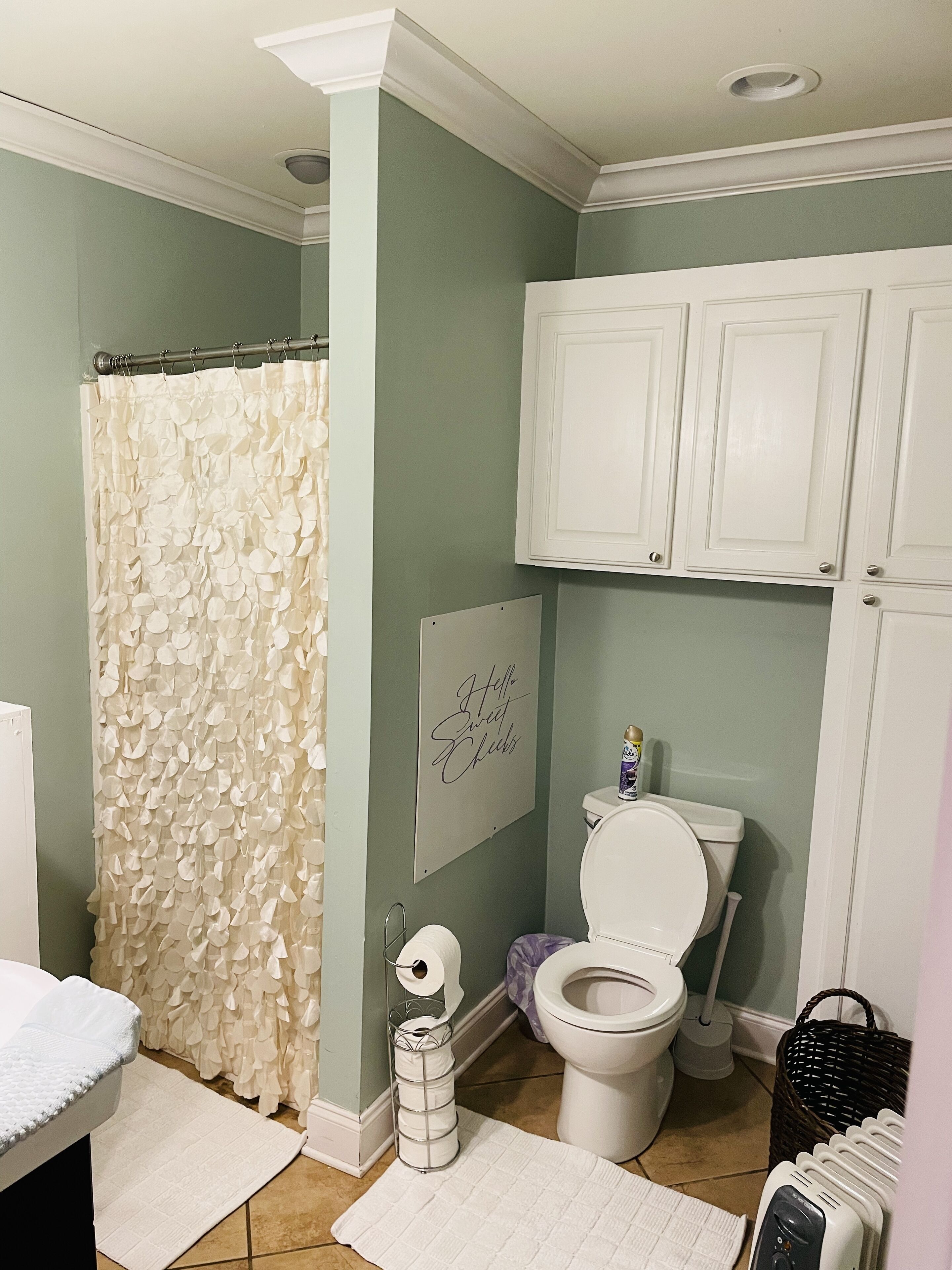 Un baño con cortina de ducha, inodoro y armarios.