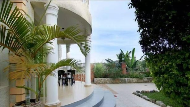 A covered outdoor seating area with chairs and a palm tree, leading to a stone pathway.