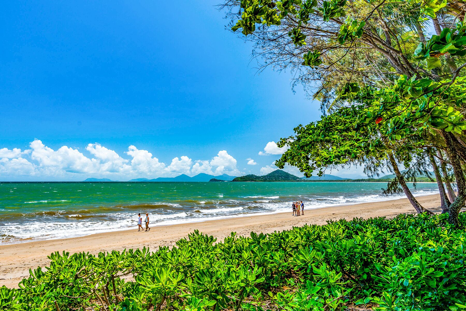 Calm Chills at Palm Cove — image 29