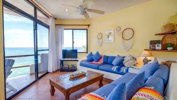 Télévision, lecteur de DVD, livres