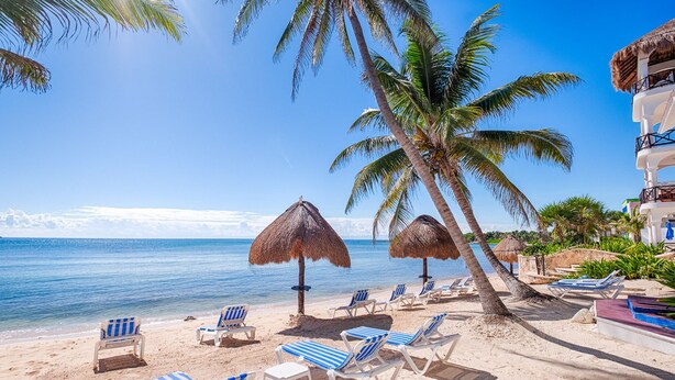 A beach with palm trees, thatched umbrellas, and lounge chairs. - Penthouse view of the Caribbean with AC, WiFi, easy beach access! (Akumal)