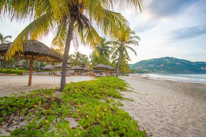 Beautiful 2BR Ap. Exuberant Vegetation, with direct access to the beach