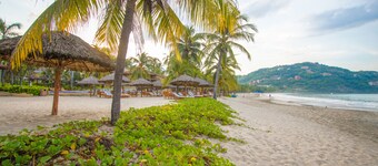 Beautiful 2BR Ap. Exuberant Vegetation, with direct access to the beach