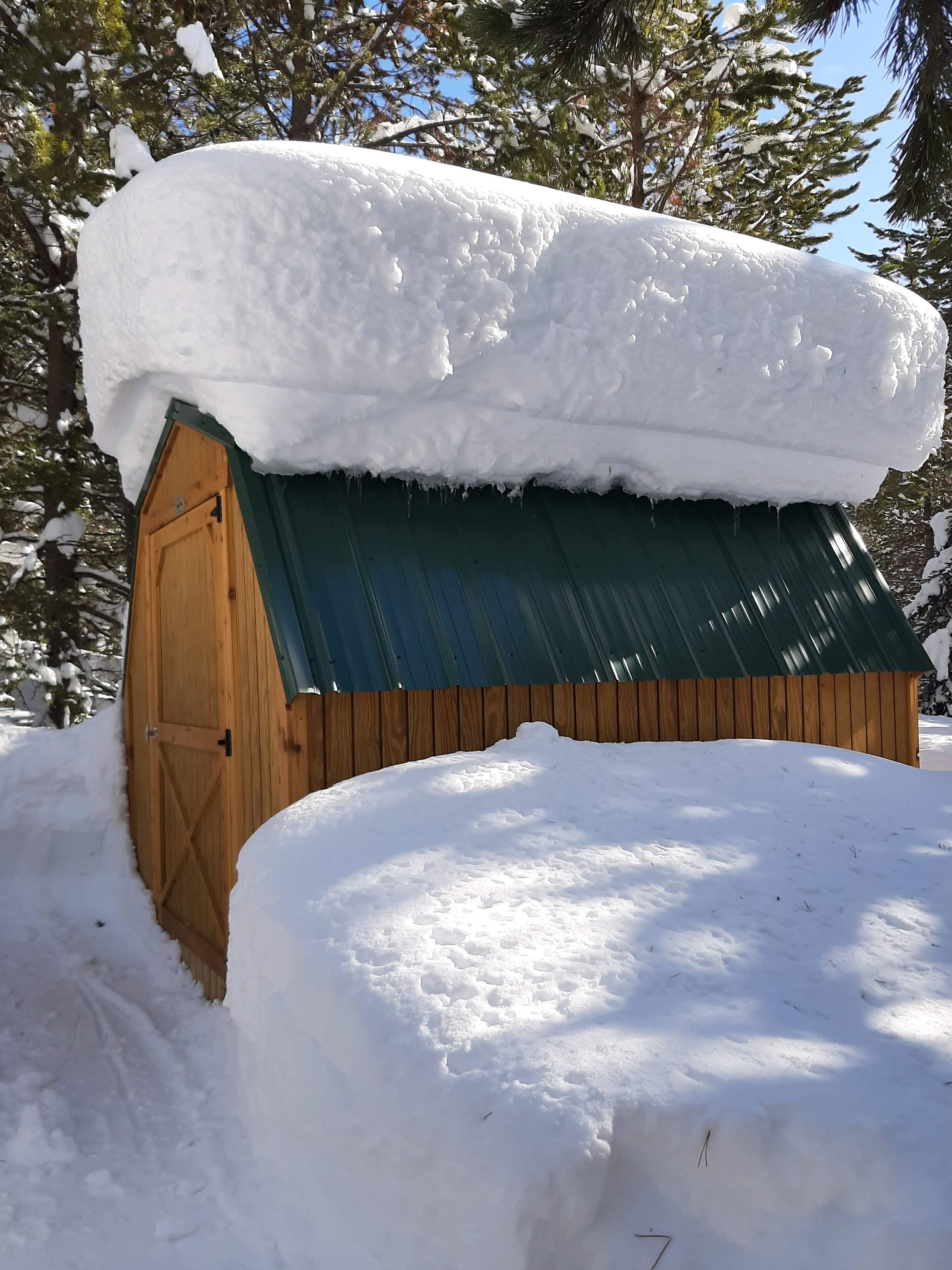 Una stalla di legno ricoperta di neve con un tetto in metallo verde, circondata da alberi.