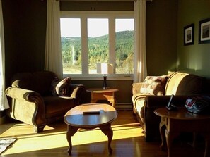 Televisio, takka, DVD-soitin, kirjoja