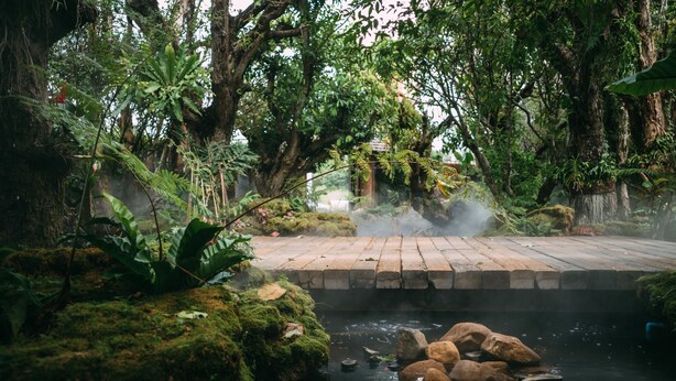 Un jardin paisible avec un pont de pierre enjambant un étang, le tout entouré d’une végétation luxuriante et d’arbres.