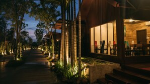 Un chemin bordé d’arbres et éclairé par des lampadaires, qui mène à un bâtiment doté de grandes fenêtres et dont on aperçoit un espace aménagé avec des sièges à l’intérieur.
