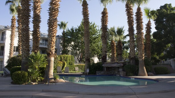 A pool area with palm trees and lounge chairs. - Paradise Awaits You In This Beautiful Las Palmas Unit. (St George)
