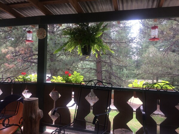 Terrace/patio - A family bed and breakfast without the host! (Cloudcroft)