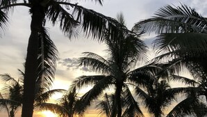 Een strandscène met palmbomen, een zonsondergang en strandparasols.