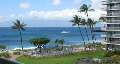 Relax in Paradise! 1BR/2BA Beachview Condo, $350-$500/Night