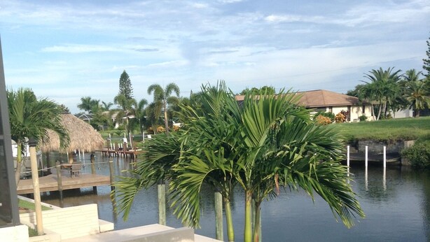 A grassy area with a small palm tree and a thatched-roof structure near a body of water.
