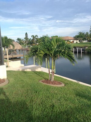 Jardines del alojamiento