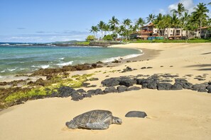 Sun loungers, beach towels - Oceanfront Serenity Retreat:  Peaceful Luxury in Poipu (Koloa)