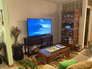 Una Smart TV, un reproductor de DVD, libros, una videoteca