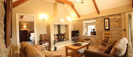 Fernseher, Kamin, DVD-Player, Bücher