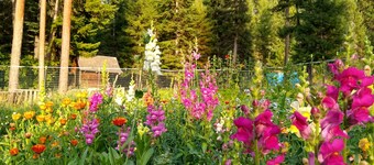 Capanna del casolare Sanctuary Farm