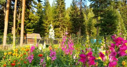 Sanctuary Farm Log Cabin Mountain Getaway