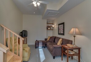 TV, fireplace, books