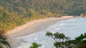 Uma praia com palmeiras e um veleiro.