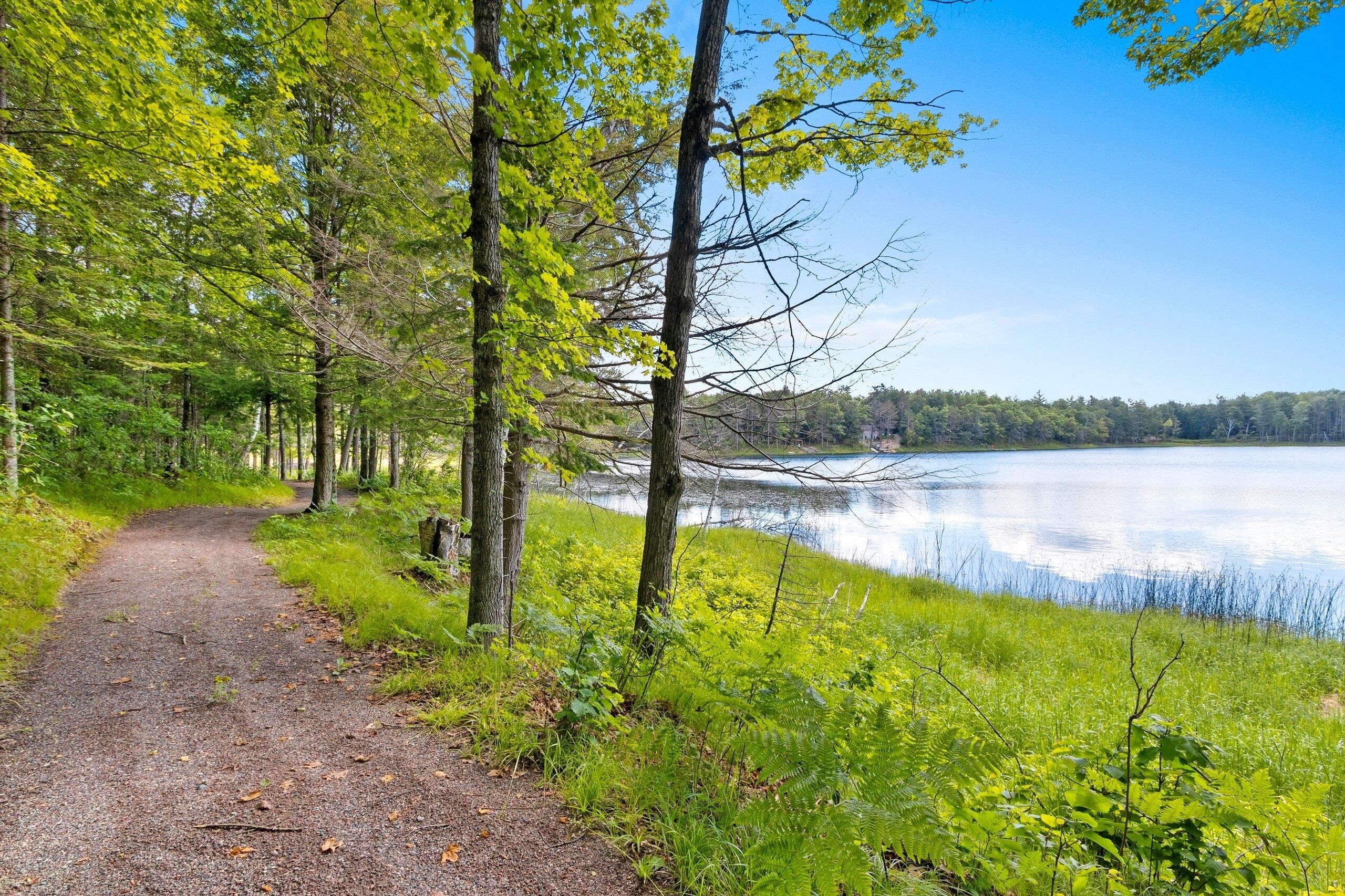 Ein Kiesweg führt zu einem See, der von Bäumen umgeben ist.