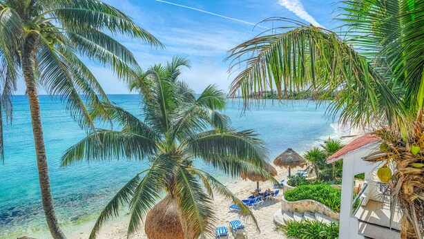 Une plage bordée de palmiers, avec une eau d’un bleu limpide et des chaises longues.