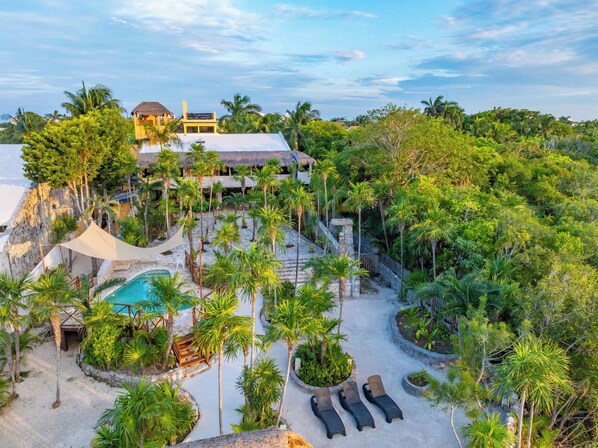 A resort with a swimming pool, lounge chairs, and tropical vegetation.