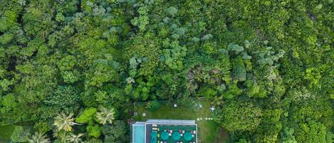 Vista aérea de un resort con zona de piscina, rodeado de densa vegetación tropical y un litoral rocoso.