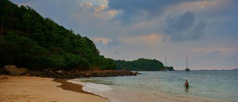 A beach with a sandy shore, calm water, and a sailboat in the distance.
