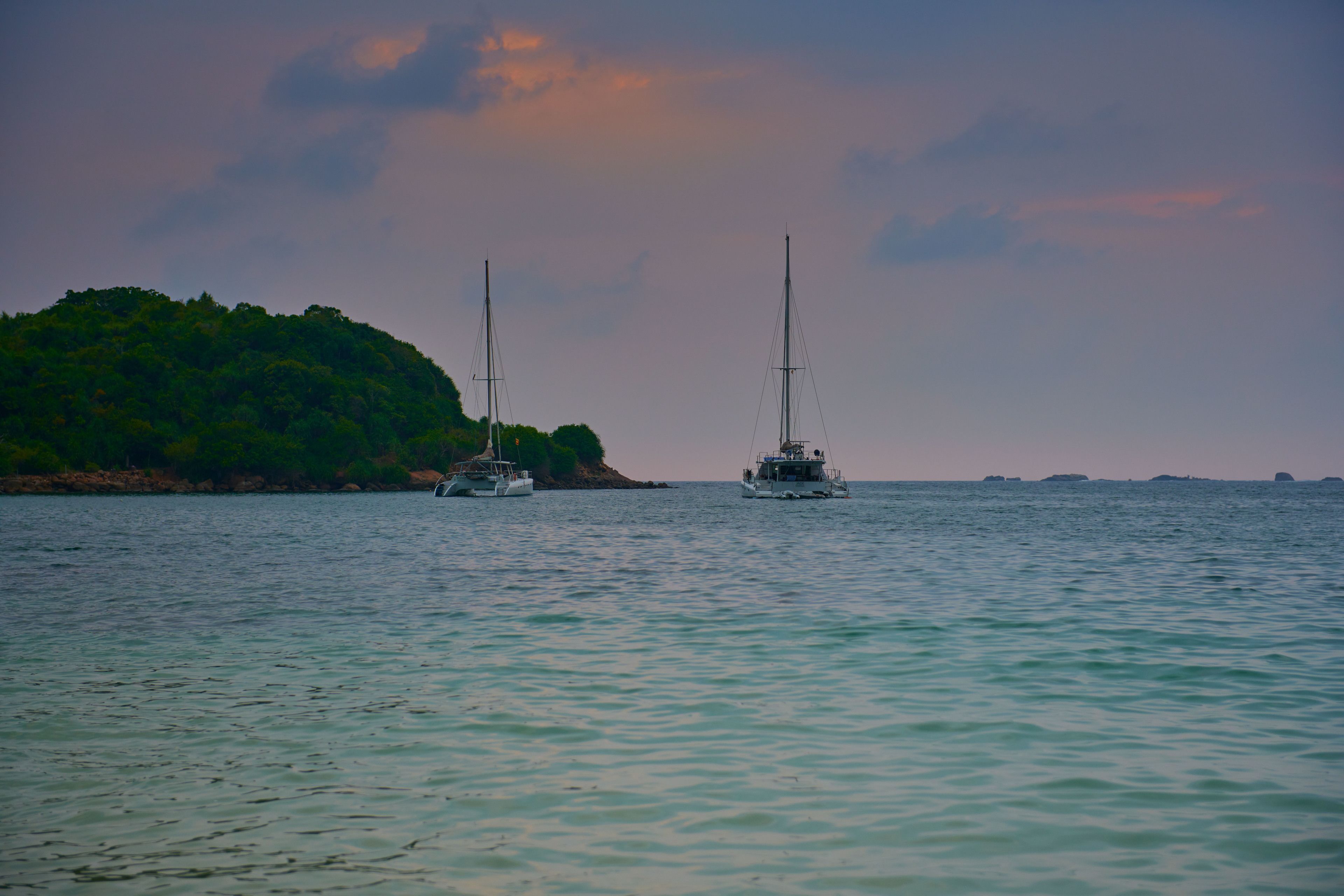 Two sailboats on calm water with a forested island in the background.
