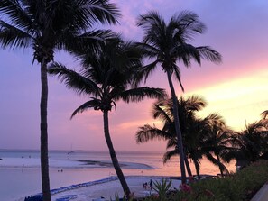 Eine Strandansicht mit Palmen und einem Sonnenuntergang.