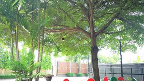 A garden area with a large tree, a wooden sculpture, and several uniquely shaped chairs. - Huaisai Hotel (Nong Khae)