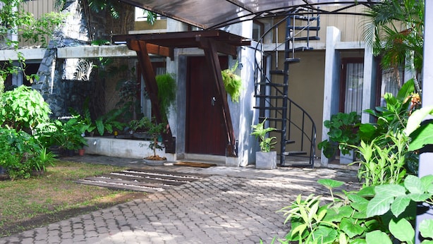 Uma entrada pavimentada com porta de madeira, escadaria de concreto e plantas em vasos.
