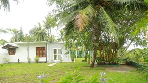 A white building with a small porch and a garden with various plants and a palm tree. - Villa A.SMS (Induruwa)
