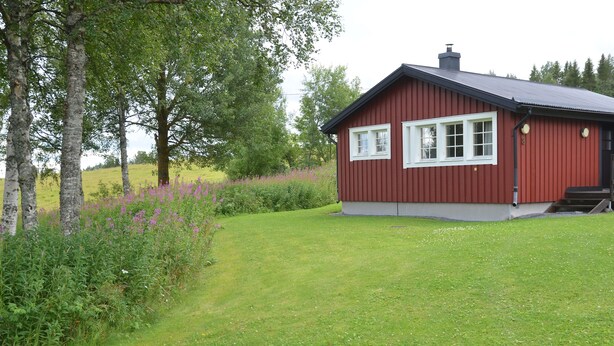 A red wooden house with white trim and a grey roof, surrounded by green grass and trees. - Ol-jons By (Hallen)