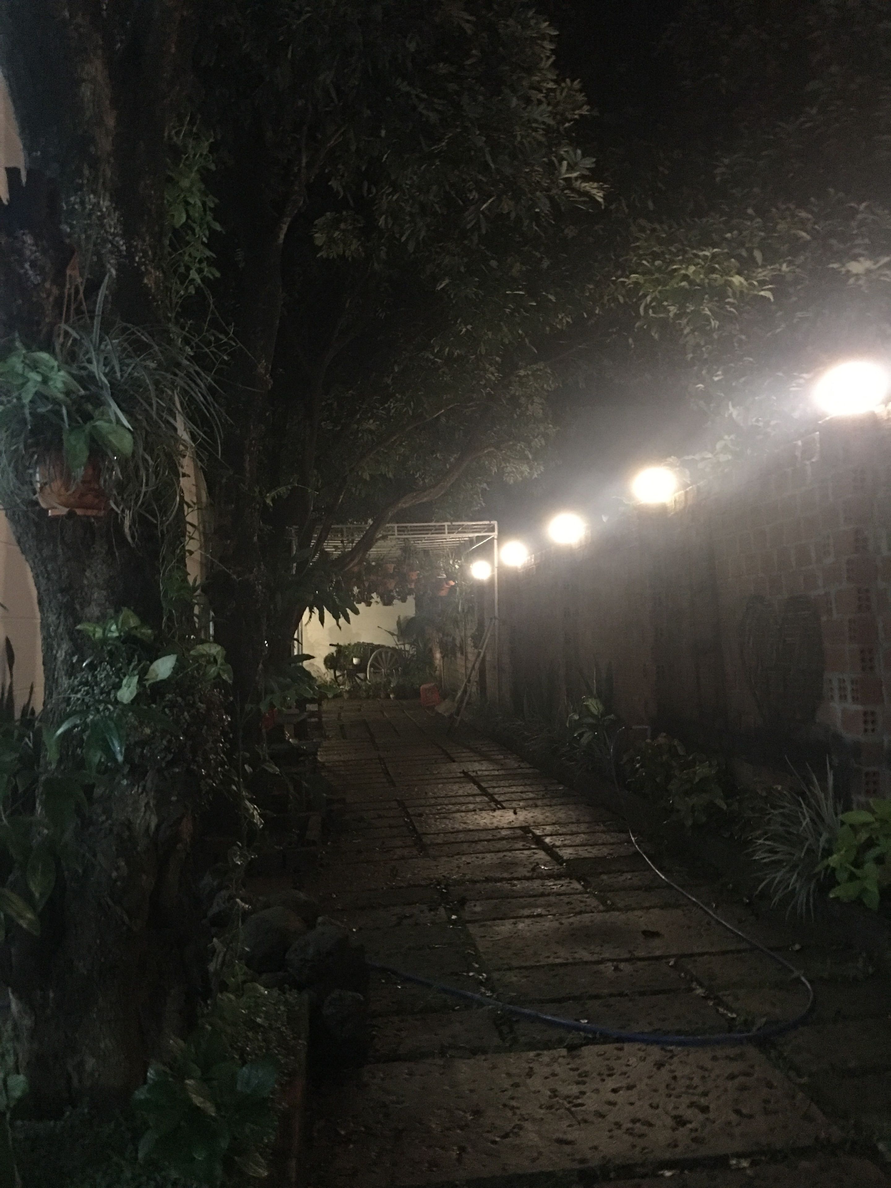 Kamar Quadruple | Pemandangan taman